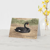 Rêvant la carte de voeux de mer - blanc (Fleur jaune)