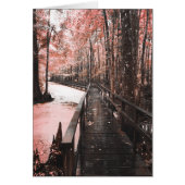 rêve de marécage sain (Devant)