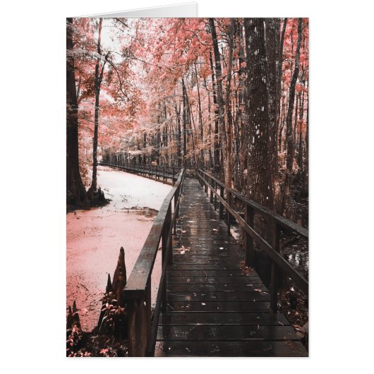 rêve de marécage sain (Devant)