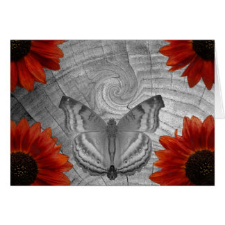 Rêve de papillon