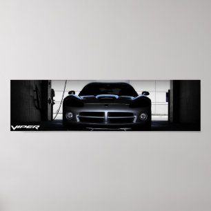 Réveillant la bête - affiche de la vipère SRT10