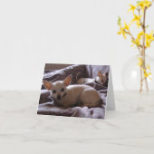 Réveillez la carte de note de chiwawa (Fleur jaune)