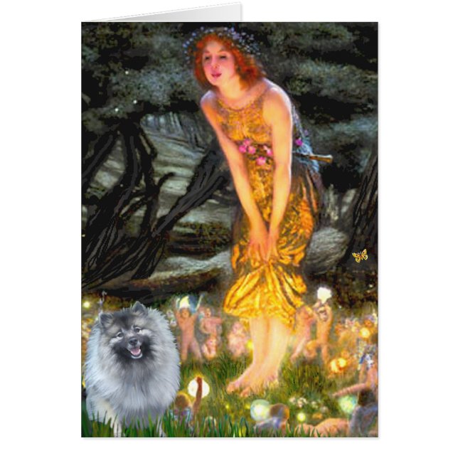 Réveillon de mi-été - Keeshond (F) (Devant)
