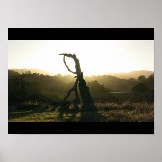 Révélation mystique - Poster (Devant)