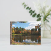 Rêver sur la carte postale Dock (Debout devant)