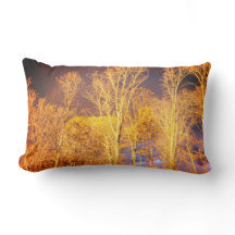 Reversibel lumbaal Sierkussen