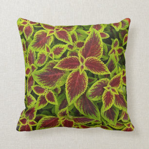 Reversible Red et Chartreuse Coleus Coussin Feuill