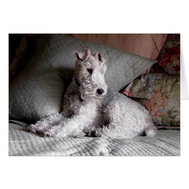 rêves doux (Devant Horizontal)