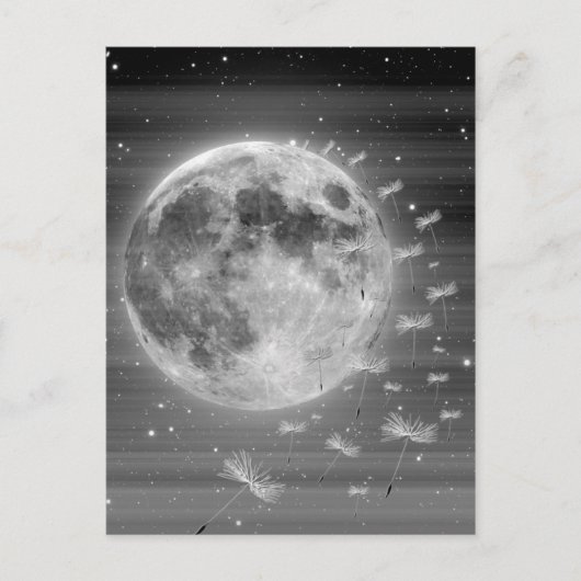 Rêves qui volent carte postale (Devant)