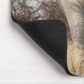 Review of elephant muismat (Hoek)