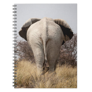 Review of elephant notitieboek