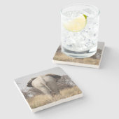 Review of elephant stenen onderzetter (Zijkant)