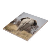 Review of elephant tegeltje (Zijkant)