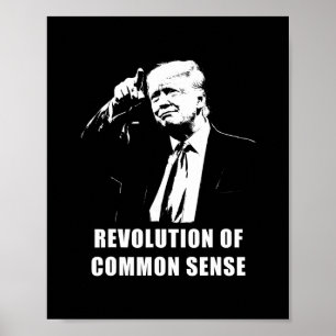 Revolutie van gezond verstand – Trump inauguratie  Poster
