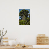Rewa rivier rand Regenwoud Guyana Poster (Keuken)