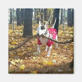 Rex Autumn stick van de dag Magneet (Voorkant)