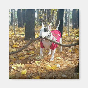 Rex Autumn stick van de dag Magneet