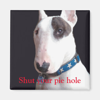 Rex de TV Terrier Sluit je pasteggat vierkant magn Magneet