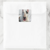 Rex De TV Terrier sticker (Tas)