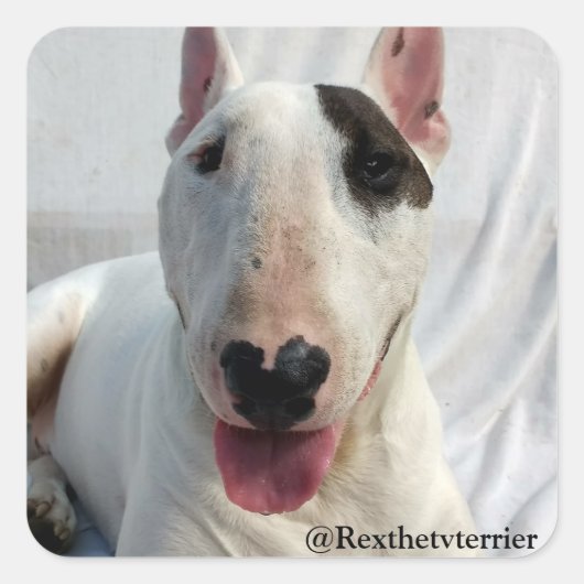 Rex De TV Terrier sticker (Voorkant)