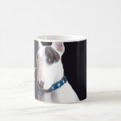 Rex de tv-zender sluit de Mok van het kinderslot (Center)