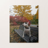 Rex en automne puzzle puzzle (Vertical)