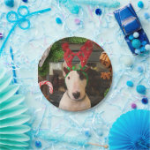 Rex-kerstborden Papieren Bordje (Feest)