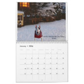 Rex La TV Terrier 2023 Mot Du Mois Calendrier (Jan 2026)