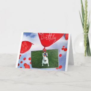 Rex La TV Terrier Carte Anniversaire