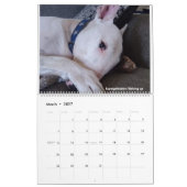 Rex La TV Terrier Parole du mois 2022 Calendrier (Mar 2027)