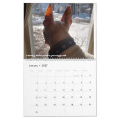 Rex La TV Terrier Parole du mois 2022 Calendrier (Jan 2027)