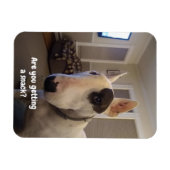 Rex La TV Terrier Réfrigérateur Magnet (Horizontal)