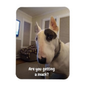 Rex La TV Terrier Réfrigérateur Magnet (Vertical)