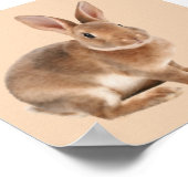 Rex Rabbit Poster (Hoek)
