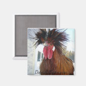 Rex Rooster Magnet (Recto/Verso)