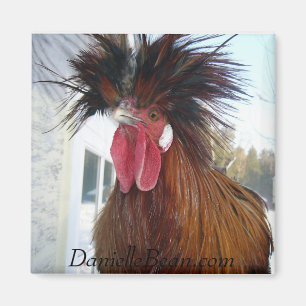 Rex Rooster Magnet Magneet