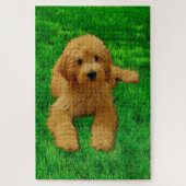 Rex The Goldendoodle Puzzle (Vertical)