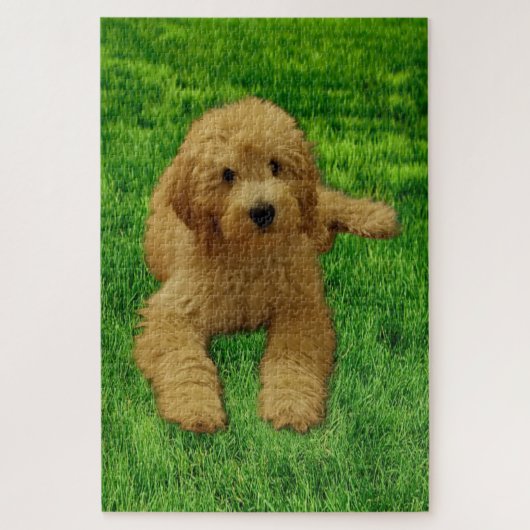 Rex The Goldendoodle Puzzle (Vertical)