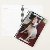 Rex the TV Terrier 2020 Planner (Display)