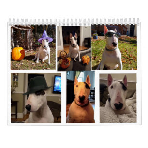 Rex The TV Terrier 2020 Word Of.Le calendrier du m