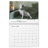 Rex The TV Terrier 2020 Word Of.Le calendrier du m (Jan 2027)