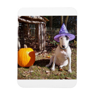 Rex The TV Terrier Halloween Magnet