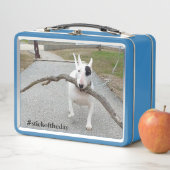 Rex The TV Terrier.Stick De La Lunchbox Du Jour (En situation)