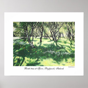 Reykjavik IJsland landschapskunst door Pola.B.Alex Poster