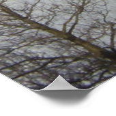 Reykjavik Ijsland Poster (Hoek)