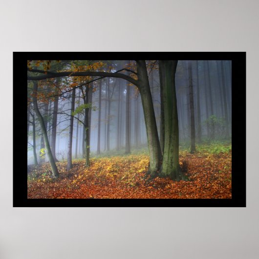 RGB POSTER (Voorkant)