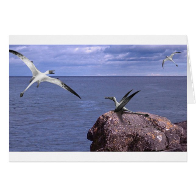 Rhamphorhynchus Blank (Voorkant Horizontaal)