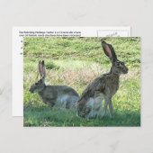 RHC-Briefkaart Briefkaart (Voorkant / Achterkant)