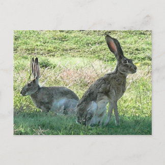 RHC-Briefkaart Briefkaart