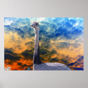 Rhea over Storm Cloud Sky Poster